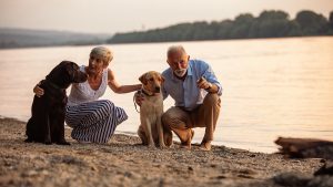 Couple enjoying their retirement
